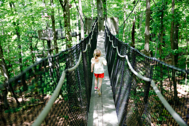 Cute little preschool girl walking on high tree-canopy trail with wooden walkway and ropeways on Hoherodskopf in Germany. Happy active child exploring treetop path. Funny activity for families outdoors. linda niña preescolar caminando por un sendero alto con dosel de árboles con pasarela de madera y teleféricos hoherodskopf en alemania. niño feliz y activo explorando el camino de la copa de los árboles. divertida actividad para familias al aire libre