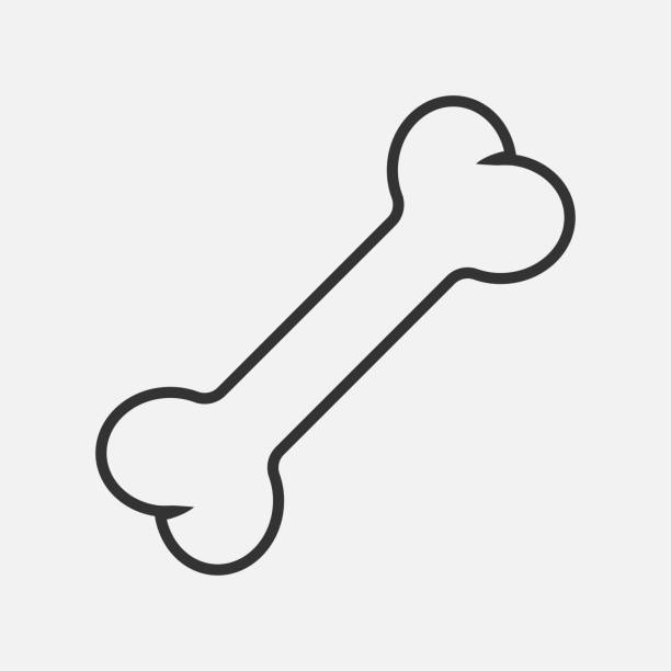 zarys kości ikony psa izolowana płaska ilustracja wektorowa. - kość stock illustrations