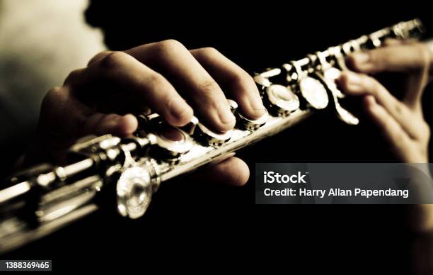 The Flautist Stock Photo - Download Image Now - Flute - Musical Instrument, Musical Instrument, Woodwind Instrument