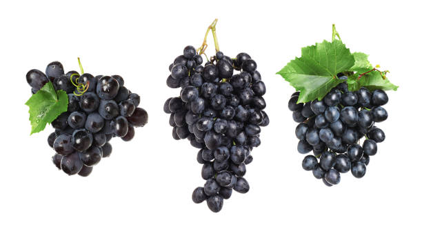 istock Set of fresh grapes on white background. Banner design 1388372754