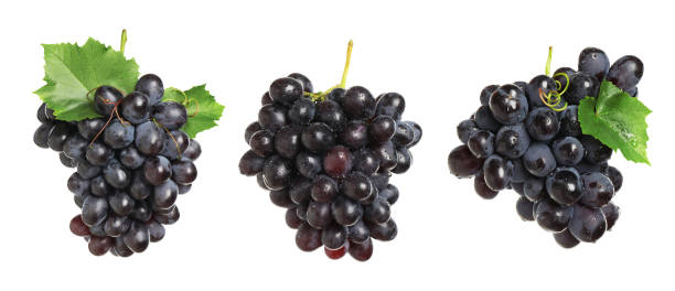 istock Set of fresh grapes on white background. Banner design 1388372837