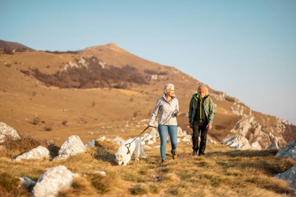 istock Affectionate Senior Couple Walking a Dog and Hiking 1388373207