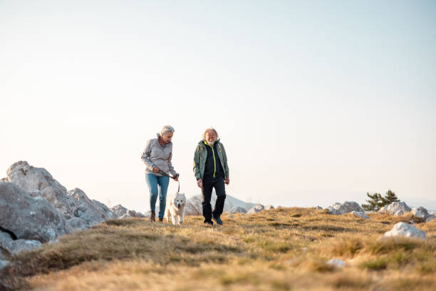 istock Affectionate Senior Couple Walking a Dog and Hiking 1388373229