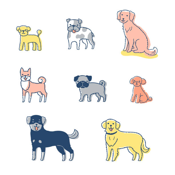 illustrations, cliparts, dessins animés et icônes de un ensemble de différents types de chiens - dog mixed breed dog group of animals small
