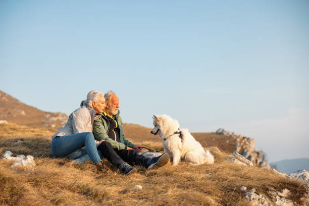 istock Two Senior Hikers Resting And Having A Snack Break With Their Dog 1388373451