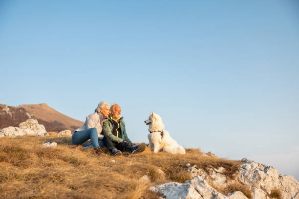 istock Two Senior Hikers Resting And Having A Snack Break With Their Dog 1388373460