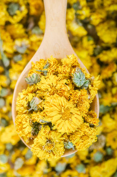 istock Dried Chrysanthemum tea in wooden spoon. 1388375137