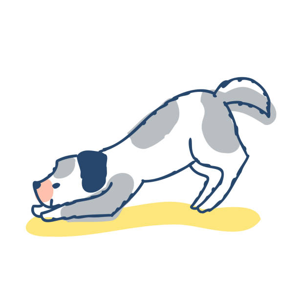 pies wykonujący pozę łuku - dog mixed breed dog puppy white background stock illustrations