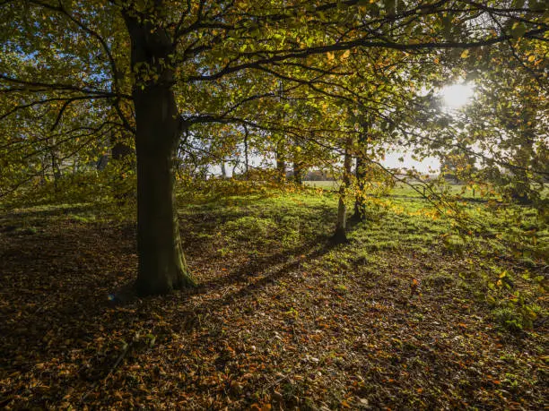 looking down on autumn landscape warwickshire midlands england uk