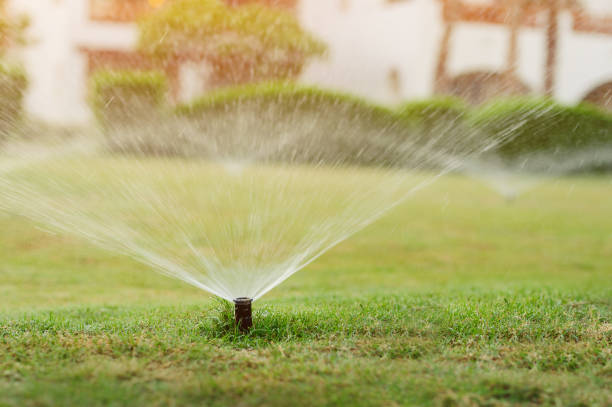 automatischer gartenrasensprinkler in aktion bewässerung gras - sprinkler fotos stock-fotos und bilder