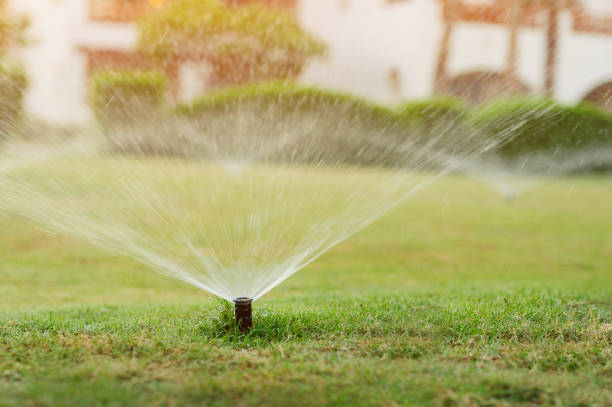 istock Automatic garden lawn sprinkler in action watering grass 1388378666