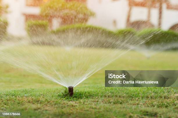 Automatic Garden Lawn Sprinkler In Action Watering Grass Stock Photo - Download Image Now