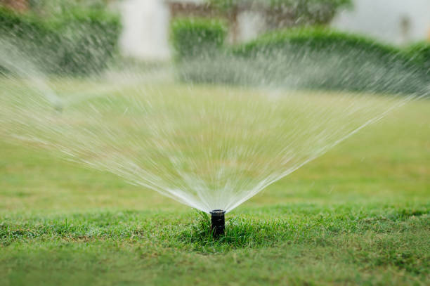 istock Automatic garden lawn sprinkler in action watering grass 1388378836