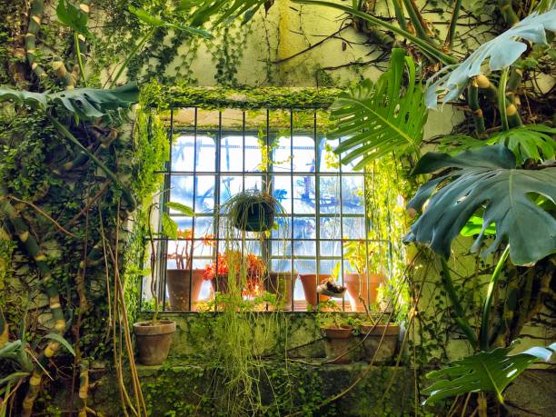 Window of a greenhouse in Madrid