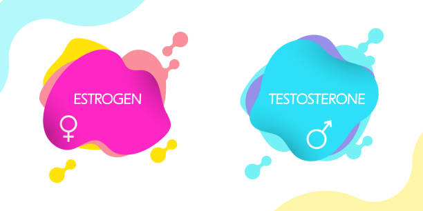 estrogen and testosterone hormones molecular skeletal formula with color liquid fluid shapes. vector graphic illustration. concept of hormonal therapy, development, treatment for woman and man vector art illustration