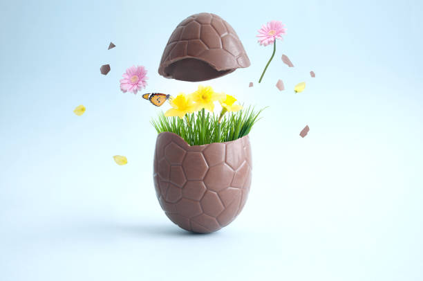 schokoladen-osterei frühlingsüberraschung - daffodil flower spring easter egg stock-fotos und bilder