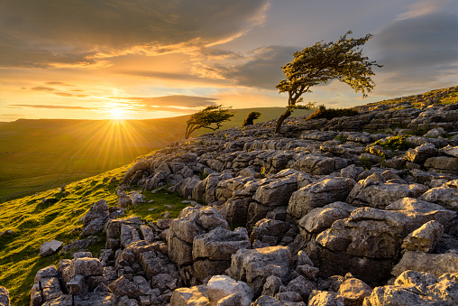 Beautiful golden light as the sun sets at Twistleton Scar; a stunning area of Limestone pavement in the Yorkshire Dales National Park, UK.