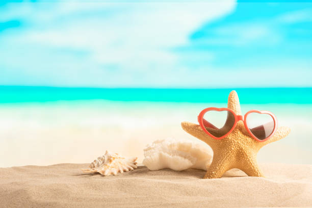 istock Summer beach with starfish and shells. Background sea. 1388388908