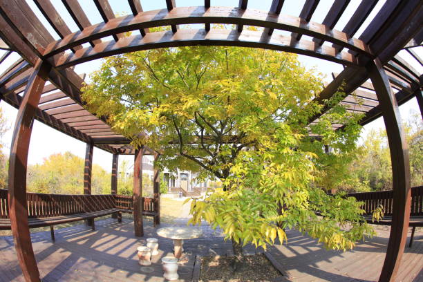 istock Wooden pavilions in autumn 1388388962