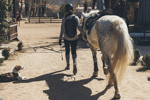 Young woman walking with horse