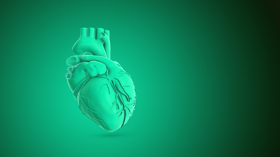 Human heart rotation animation abstract