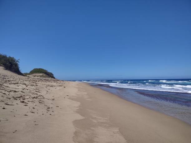 istock Jobos beach Isabela Puerto Rico 1388393112