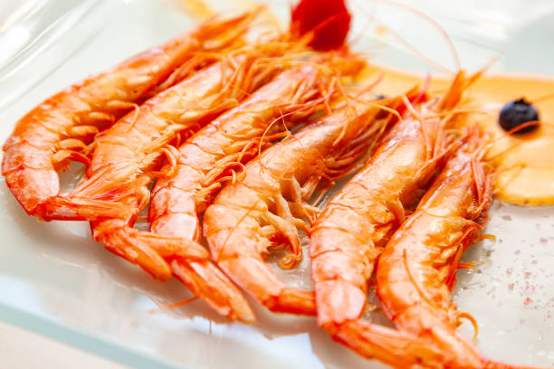 Grilled prawns on a white plate. stock photo