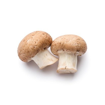 Fresh brown mushrooms isolated on a white background