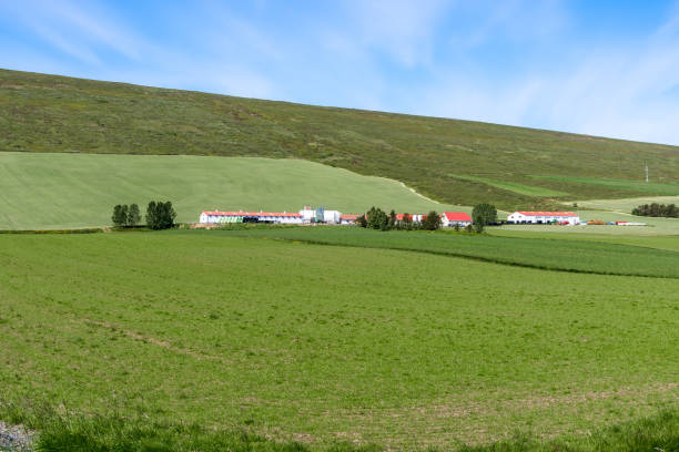 istock Farm in a hilly landscape under blue sky with clouds 1388400871
