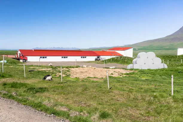 Photo of Farm in the countryside of Iceland under clear sky in summer