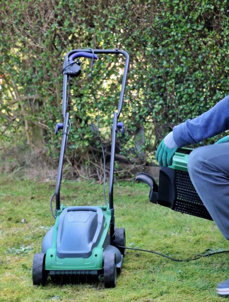 istock Removing grass basket from a electric lawn mower machine 1388401908