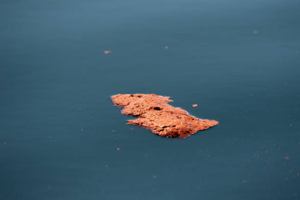 istock blue whale red feces krill excrement 1388402539