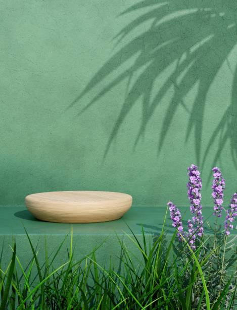 istock Wood podium display with sunlight shadow palm leaf on green concrete wall 1388403700
