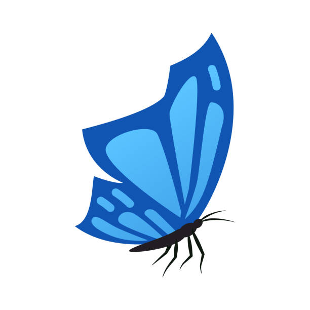 Carefree Example 460+ Butterfly Mobiles Stock Illustrations, Royalty-Free Vector ...