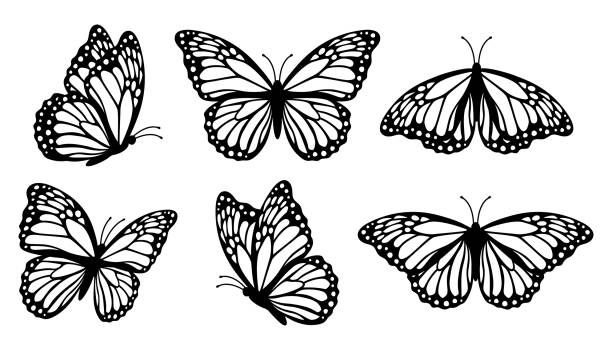 illustrazioni stock, clip art, cartoni animati e icone di tendenza di collezione di sagome di farfalle monarca, illustrazione vettoriale isolata su sfondo bianco - farfalla