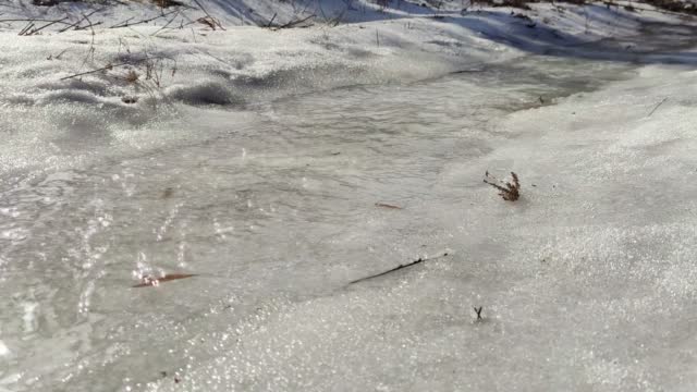 Shining spring water stream on white melting snow