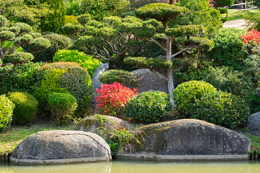 Akebonoyama, Kashiwa, Chiba Prefecture.