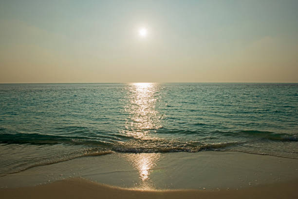 istock Panoramic view of remote tropical beach at sunset 1388414389
