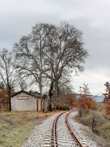 A small, railway station in the countryside at the foot of the mountains in an autumnal, overcast day (Greece, region Arcadia).