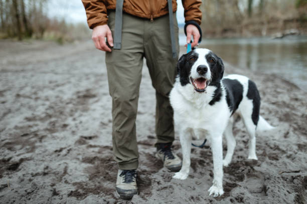 istock Man Hiking By River With Dog 1388416115