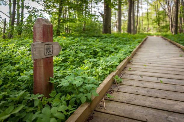 Hiking sign pointing at hiking trail  through the forest. Kabli nature study trail. Estonia.