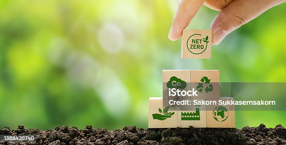 istock Net Zero and Carbon Neutral Concepts Net Zero Emissions Goals A climate-neutral long-term strategy Ready to put wooden blocks by hand with green net center icon and green icon on gray background. 1388420740