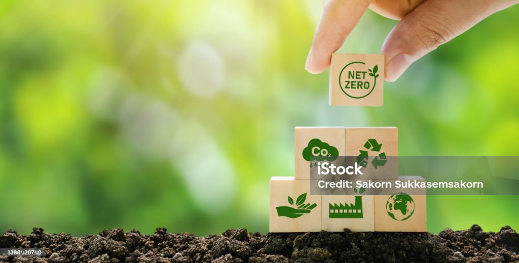 Net Zero and Carbon Neutral Concepts Net Zero Emissions Goals A climate-neutral long-term strategy Ready to put wooden blocks by hand with green net center icon and green icon on gray background. Sustainable Resources Stock Photo