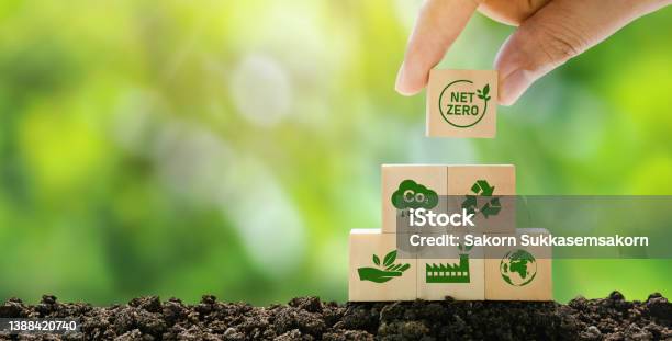 Net Zero And Carbon Neutral Concepts Net Zero Emissions Goals A Climateneutral Longterm Strategy Ready To Put Wooden Blocks By Hand With Green Net Center Icon And Green Icon On Gray Background Stock Photo - Download Image Now