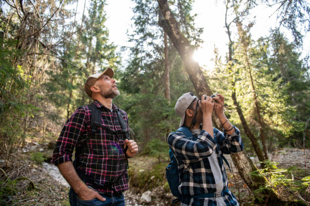 istock Friends hiking in the forest 1388421646