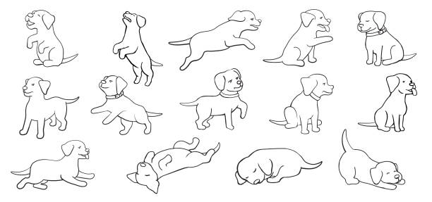 szczenięta pose doodle set - szczenię stock illustrations