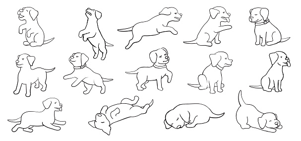 Puppies doodle set. Vector illustration.