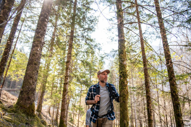 Man hiking in the forest in Julian Alps, Triglav National Park, Slovenia, Europe.