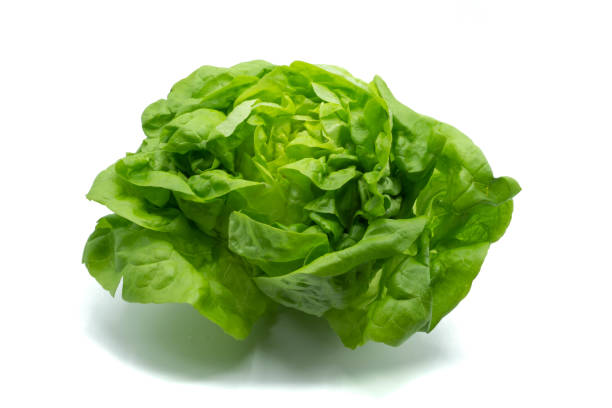 istock Green lettuce isolated on white background 1388422027