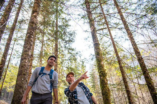 Friends hiking in the forest in Julian Alps, Triglav National Park, Slovenia, Europe.